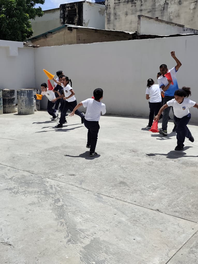 Disciplinas en Equipo