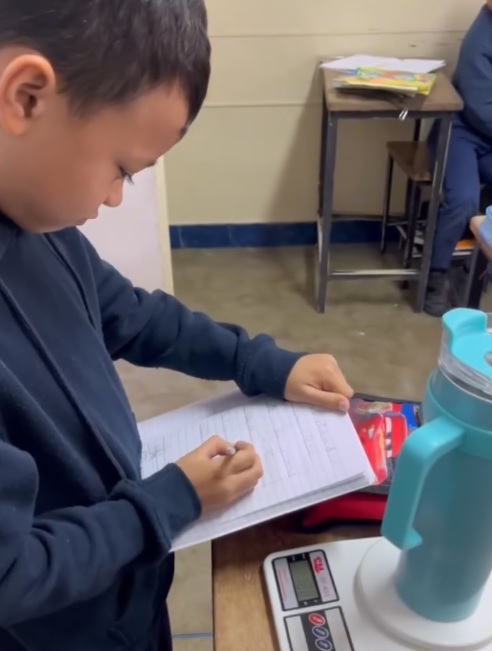 Autonomía Escolar