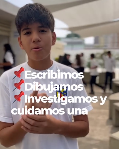Representación