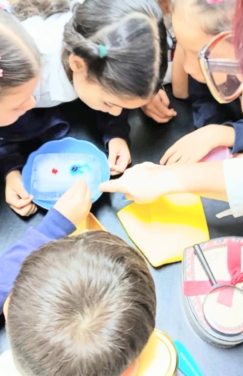 Experimento DUA 2